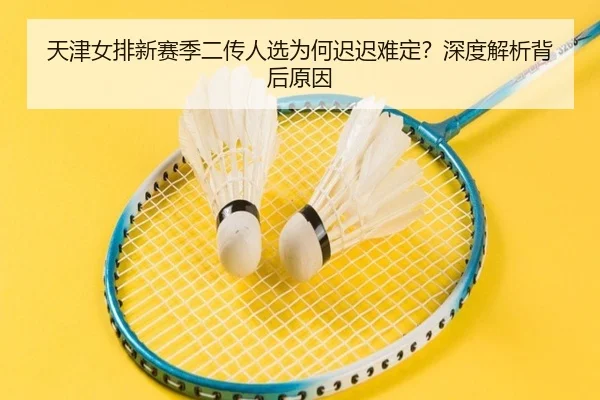 天津女排新赛季二传人选为何迟迟难定？深度解析背后原因