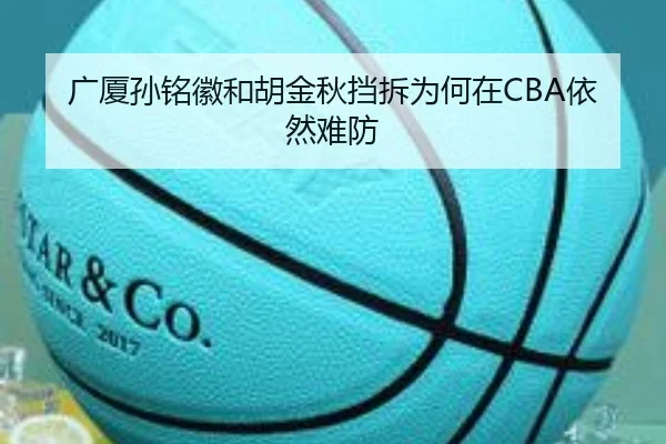 广厦孙铭徽和胡金秋挡拆为何在CBA依然难防